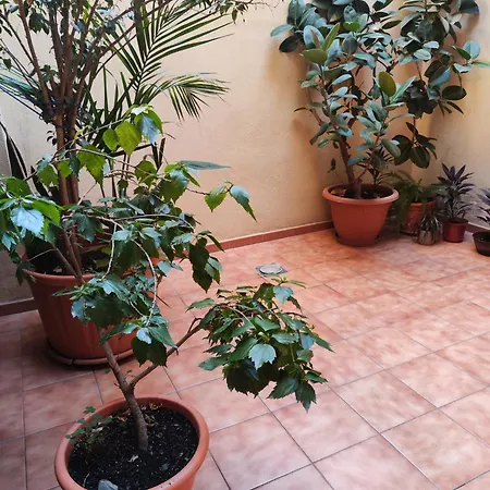 Experience Apartmán Màlaga