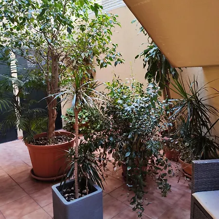 Experience * Málaga