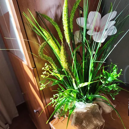 Apartamento Experience Málaga