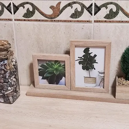 Apartamento Experience